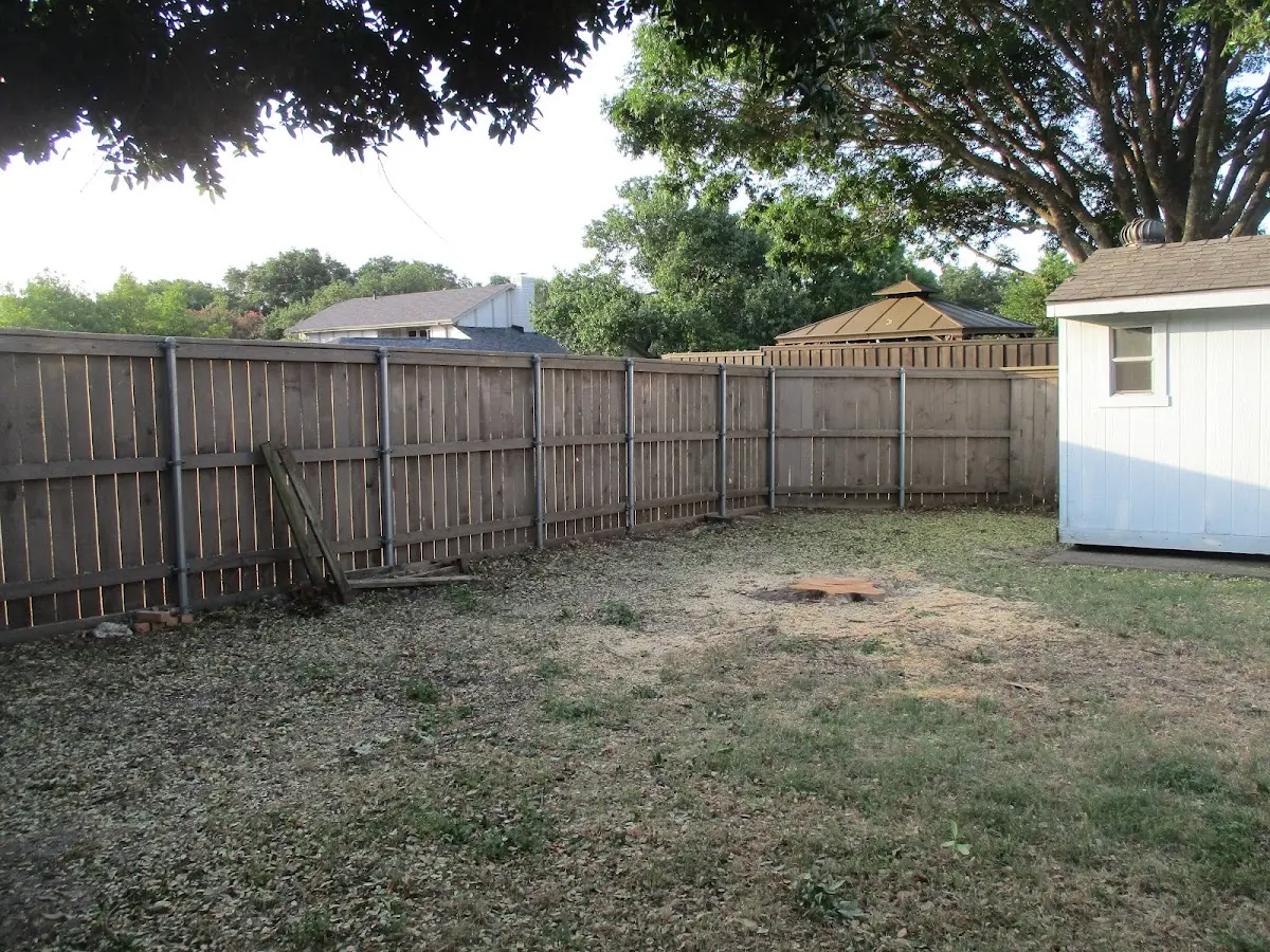 Cleared yard after professional tree removal in Salem